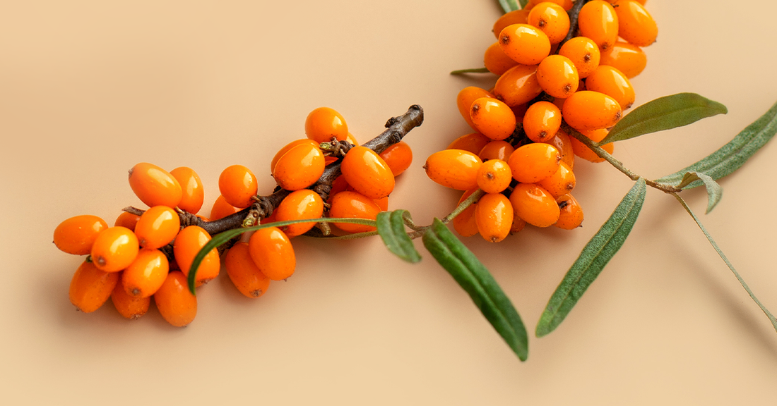 What Makes Sea Berries The "Liquid Gold" Of Skincare?